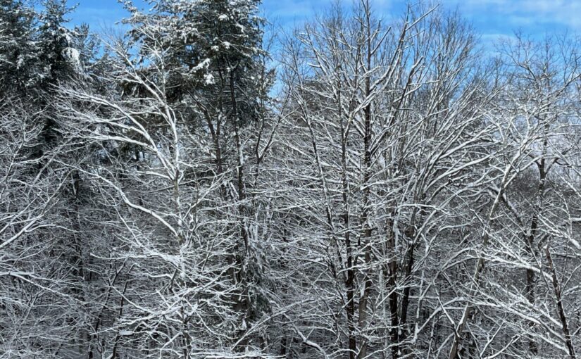Buen aterrizaje, Comandante!